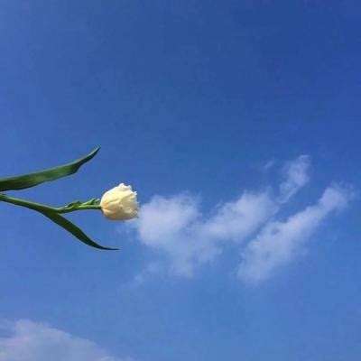 剑域奇缘百度手游下载
