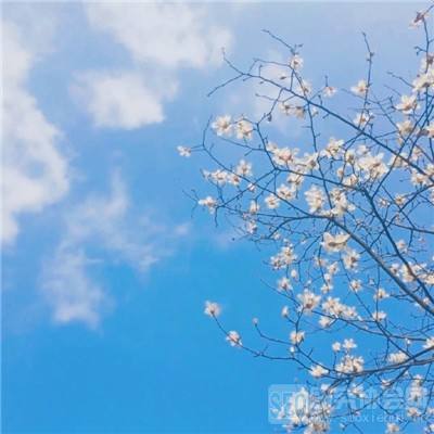 lm体育(官方)网站/网页版登录入口/手机版APP下载V0.25.59.417 -手机版